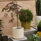 Beam Pot - Cream