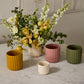 Beam Pot - Pink