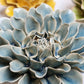 Ceramic Flower - Powder Blue Dahlia
