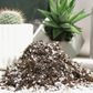 Cactus Blend - Potting Soil for Indoor Plants