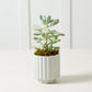 4" Carmen Pot - Light Blue