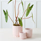 4" Carmen Pot - Light Pink