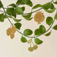 Cute Fruit Trio Plant Decorations
