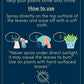 Leaf Shine Plant Elixir