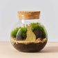 Plant Animals