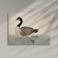 Vintage Goose 5x7" Print