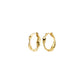 Here Twisted Hoops