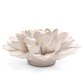 Ceramic Flower - Ivory Water Lily