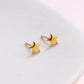 Keep Shining - Star Stud Earrings