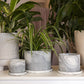 4" Marengo Pot