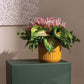 Beam Pot - Ochre