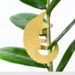 Plant Animals