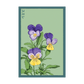 Pansy Seed Packet