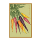 Rainbow Carrot Seed Packet