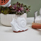 Whimsy Watering Critter