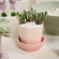 5" Springvale Pot + Saucer