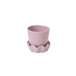 5" Springvale Pot + Saucer