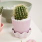 5" Springvale Pot + Saucer