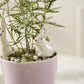 Thumper Plant Stake