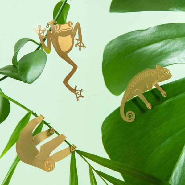 Plant Animals - Image 2