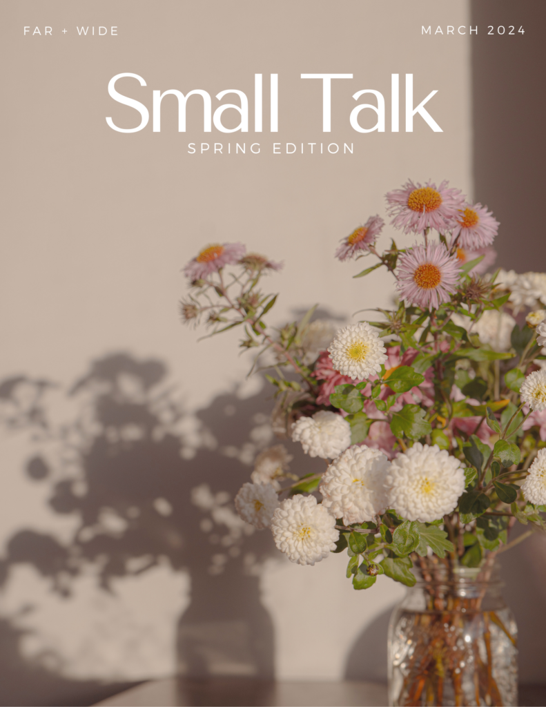 Far + Wide's e-magazine small talk spring edition