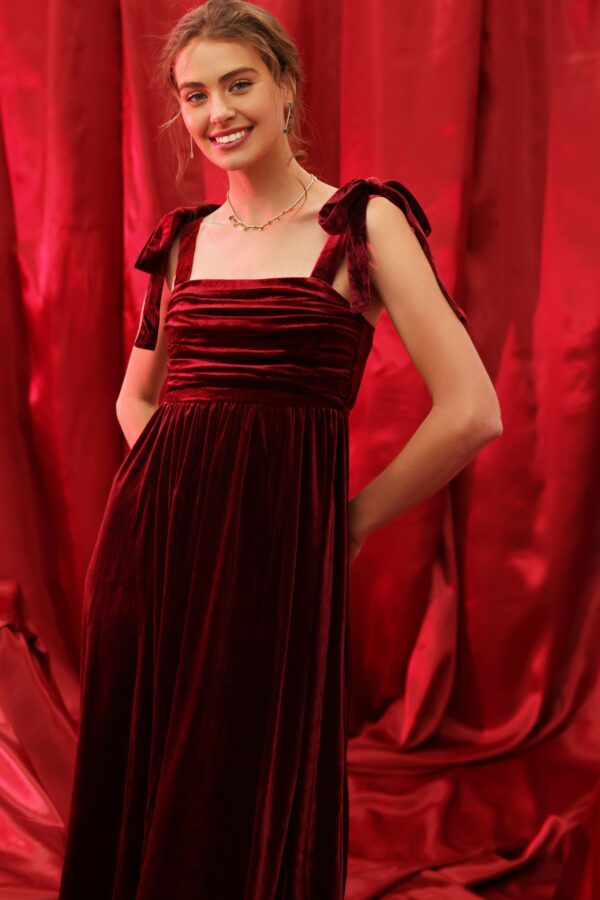 Velvet Scarlet Holiday Dress