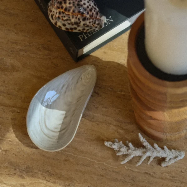 Clam Shell Catchall